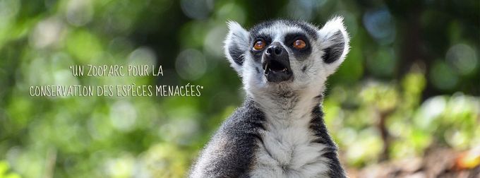 https://www.facebook.com/zooparc.be/