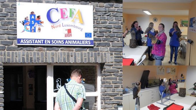 http://www.arbh.be/Enseignements-cefa.html
