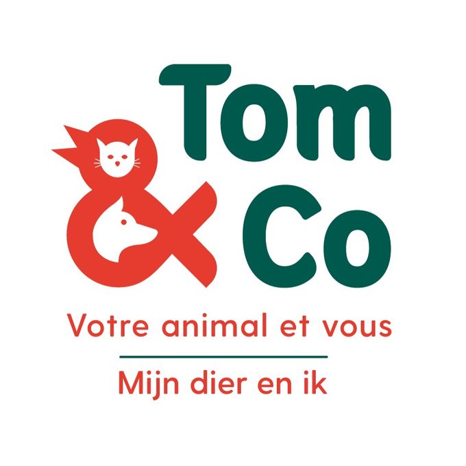 https://www.facebook.com/tomcomarche/  https://www.facebook.com/TomCo-Malonne-1673713942856897/   bouge-erpent-recogne 