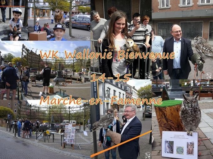 WK Wallonie Bienvenue , excellent WK 