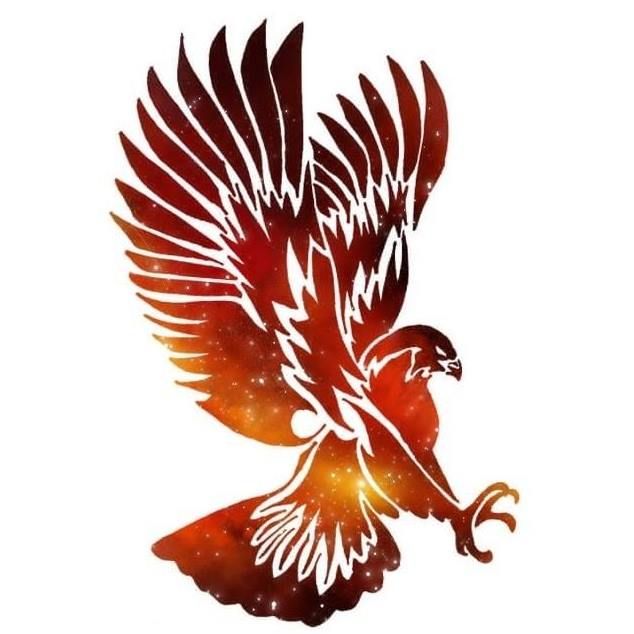 VOTRE SOLUTION CONTRE LES
NUISANCES AVIAIRES.
https://hawks-spirit.com/