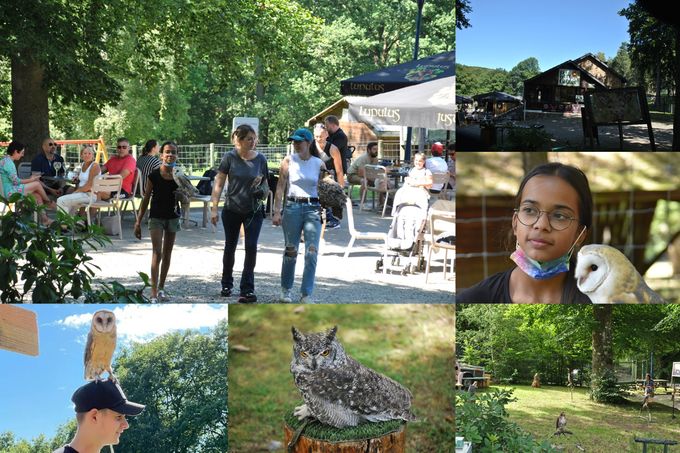 Fête du loup , parc à gibier de La Roche en Ardenne juillet 21.