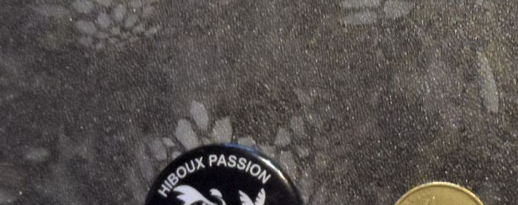 Badge , diamètre 37mm , 3€ .