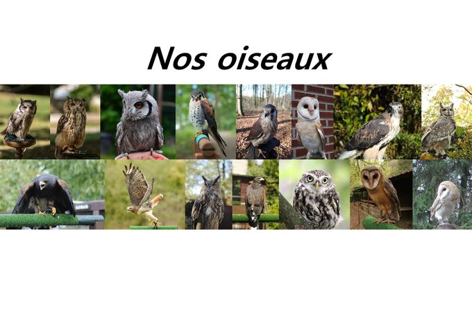 Certain manque , a mettre à jours prochainement.